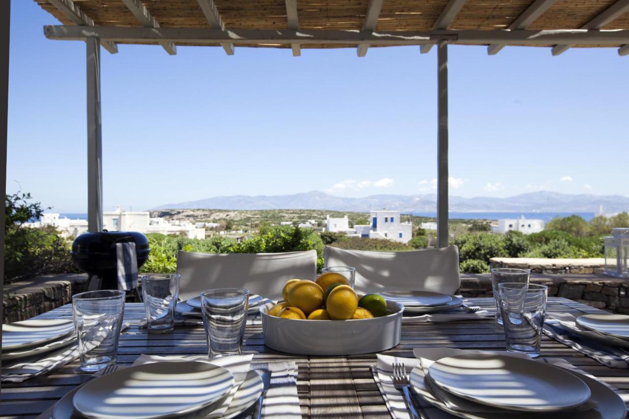 Kallisti Daphne - Gorgeous Villa - An Oasis For 8 People Naoussa Esterno foto